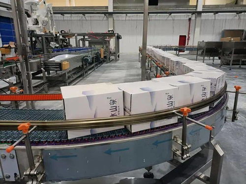 礦泉水全自動化生產(chǎn)技術(shù)革新 龍泉生產(chǎn)線引領(lǐng)行業(yè)未來