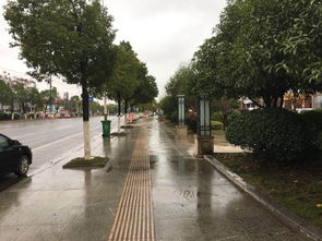 譚橋街道多措并舉，著力規范二手車交易市場經營秩序